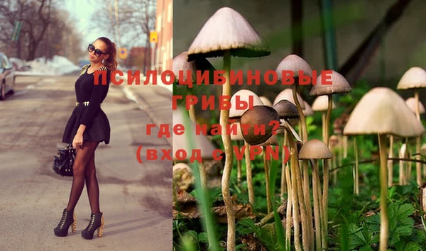 Альфа ПВП Медвежьегорск