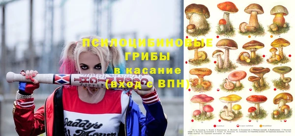 Альфа ПВП Медвежьегорск