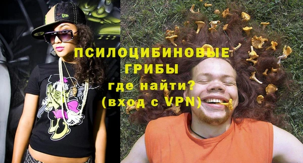 a pvp Гусиноозёрск