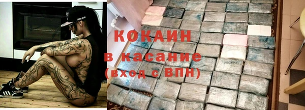 ПСИЛОЦИБИНОВЫЕ ГРИБЫ Михайлов