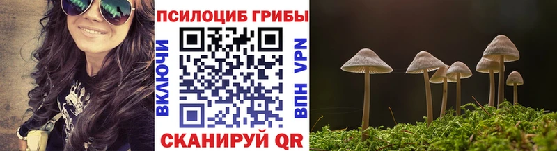 Галлюциногенные грибы GOLDEN TEACHER  Кондрово 