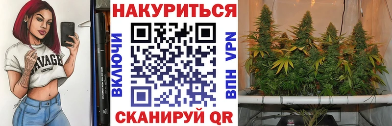 Конопля семена  магазин продажи наркотиков  Кондрово 